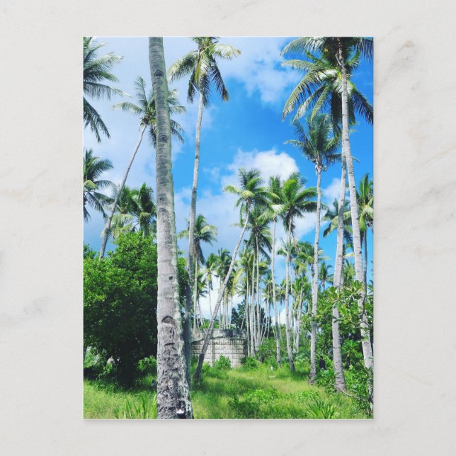 Paradies im Pazifik Postkarte (Vorderseite)
