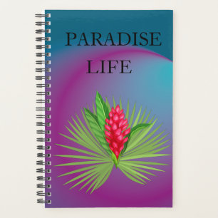 Paradies Planer