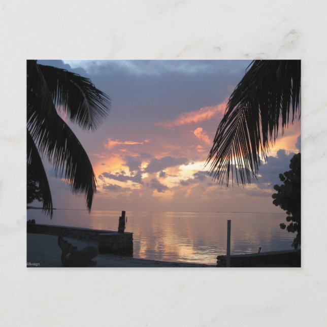 Paradies Postkarte (Vorderseite)