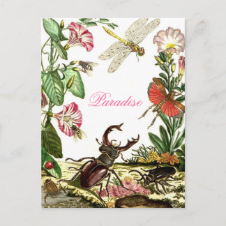 Paradies Postkarte