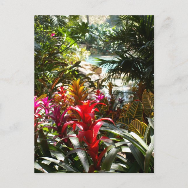 Paradies-Postkarte Postkarte (Vorderseite)