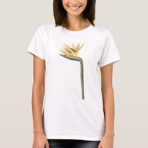 Paradies (Strelitzia reginae) von Redouté T-Shirt