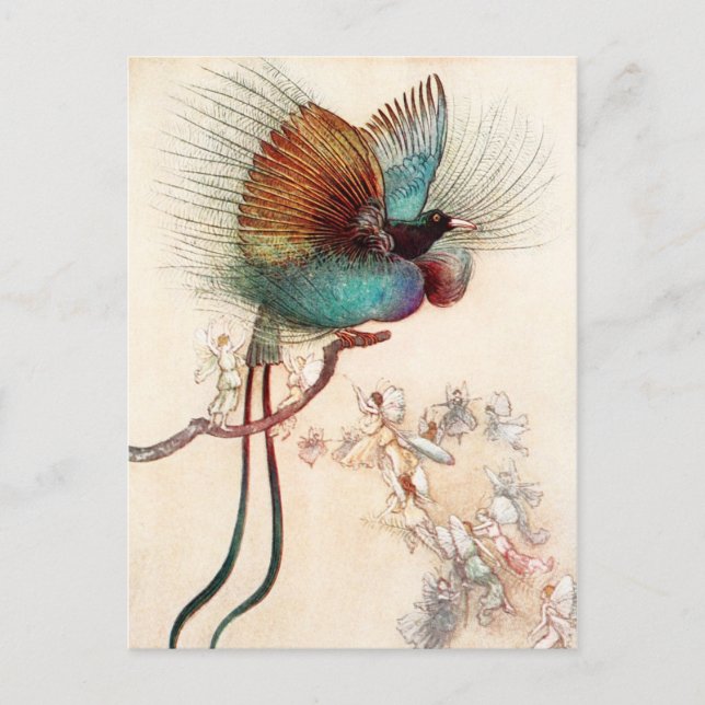 Paradies- und Vogelgezwitscher Postkarte (Vorderseite)