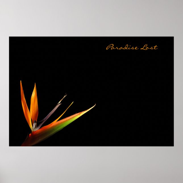 Paradies verloren poster (Vorne)