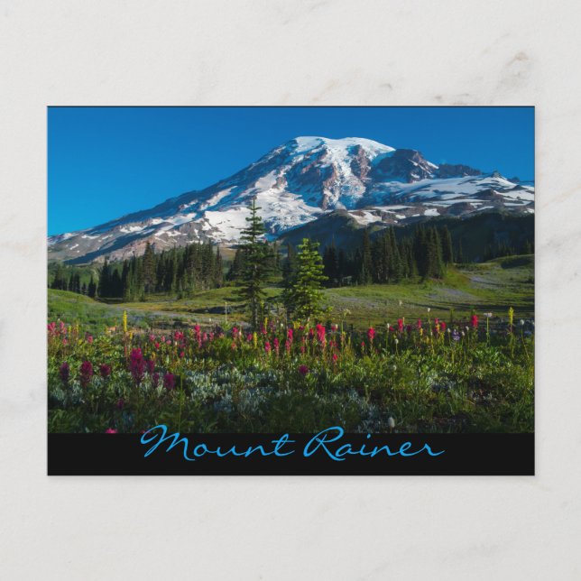 Paradies Wiesen Wildblumen Postkarte (Vorderseite)