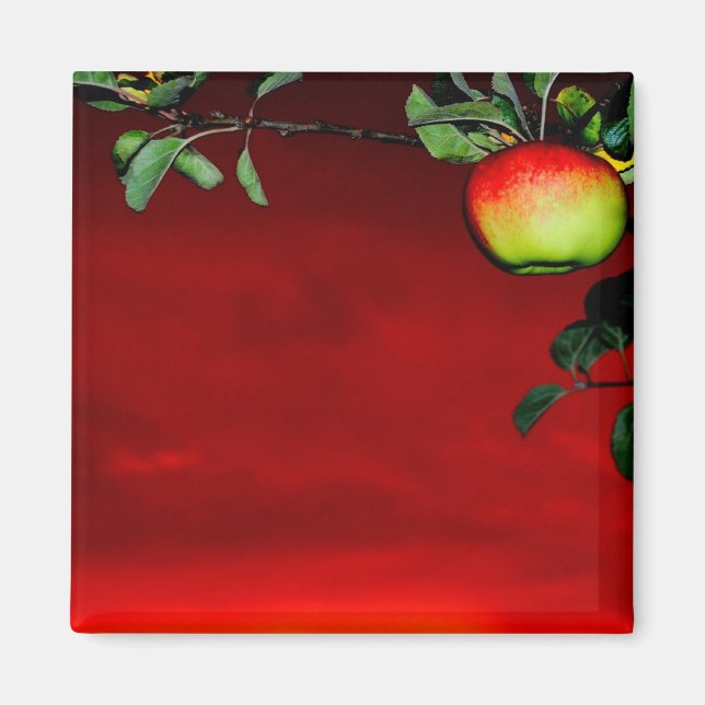 Paradiesapfel Magnet (Vorne)