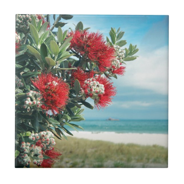 Paradiesstrand Rote Blume Neuseeland Sommer Fliese (Vorderseite)