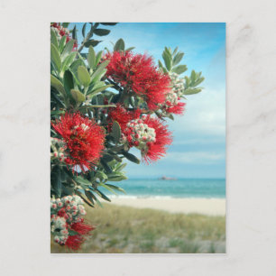 Paradiesstrand Rote Blume Neuseeland Sommer Postkarte