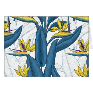 Paradiesvogel auf Weiß-Blume