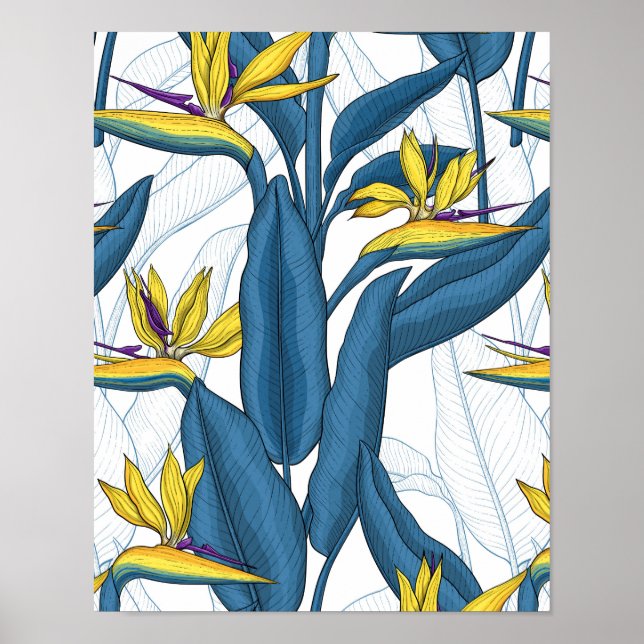 Paradiesvogel auf Weiß-Blume Poster (Vorne)