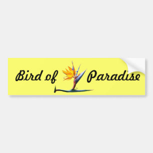 Paradiesvogel Autoaufkleber