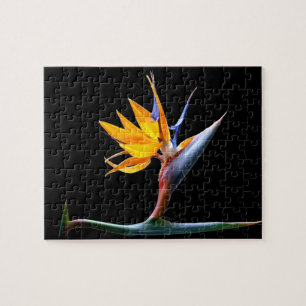 Paradiesvogel Blume Puzzle
