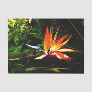 Paradiesvogel-Blumen-Tissue-Papier Seidenpapier