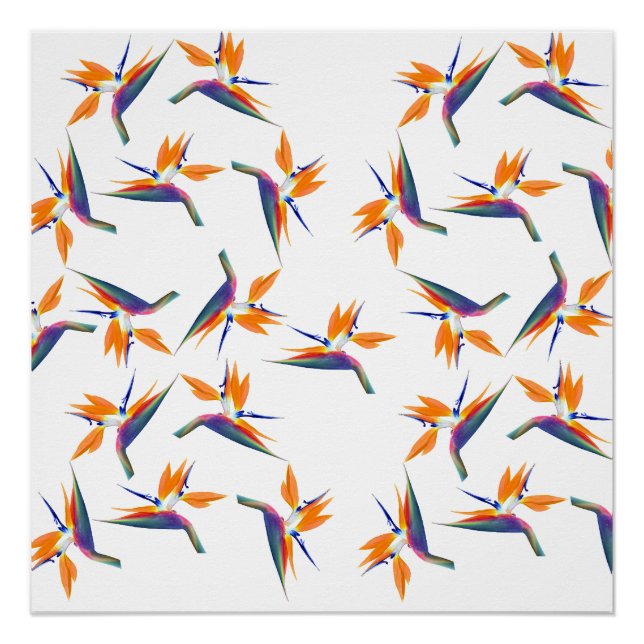 Paradiesvogel-Blütenmuster Poster (Vorderseite)