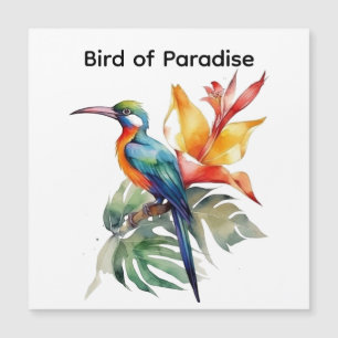 Paradiesvogel, bunter Phantasy-Vogel 'n Blume Magneteinladung