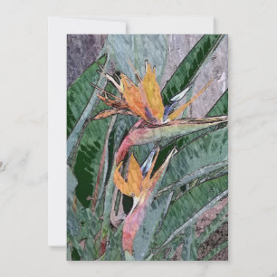 Paradiesvogel Dankeskarte