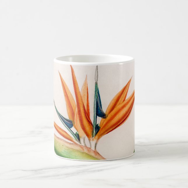 Paradiesvogel der Blume Vintagen illustrierten Kaffeetasse (Mittel)