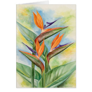 Paradiesvogel die Blumen-Kunst - multi