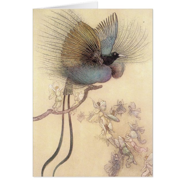 Paradiesvogel durch Künstler Warwick Goble Karte (Vorne)