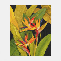 Paradiesvogel