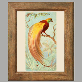 Paradiesvogel, Galerie-Wand-Set mit 6 Teilen, 4/6  Poster