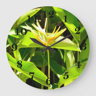 Paradiesvogel Große Wanduhr