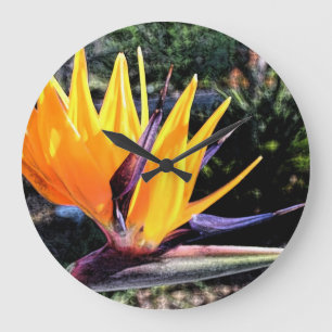 Paradiesvogel Große Wanduhr