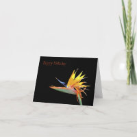 Paradiesvogel - Happy Birthday
