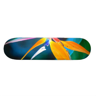 Paradiesvogel Hawaii-Skateboard Skateboard