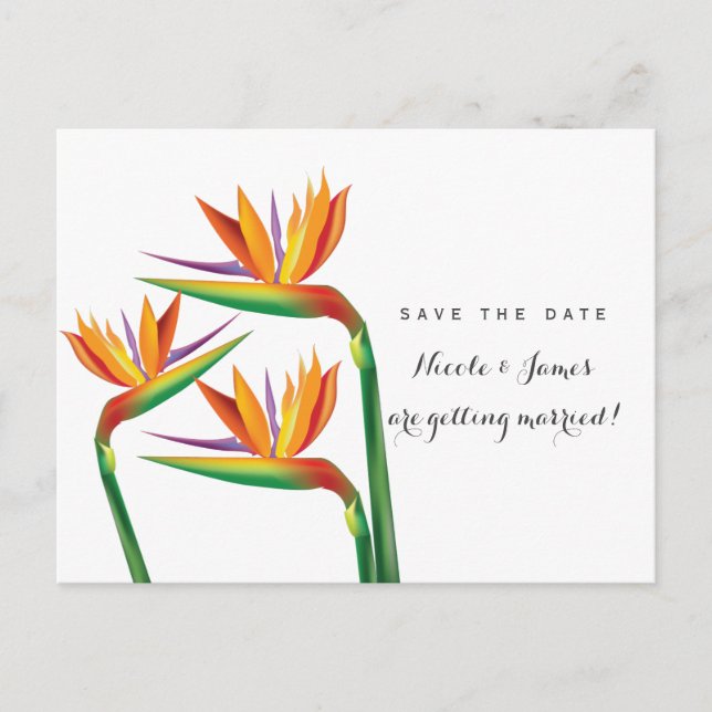 Paradiesvogel Hochzeit Das Datum der Postkarte spe (Vorderseite)