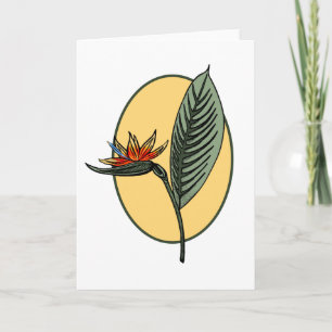 Paradiesvogel Karte