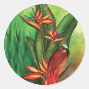 Paradiesvogel Kunst-Aufkleber Runder Aufkleber