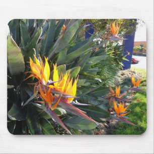 Paradiesvogel Mausunterlage Mousepad