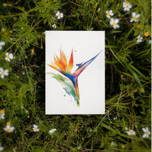 Paradiesvogel mit exotischen Blume und Aquarellfar Postkarte