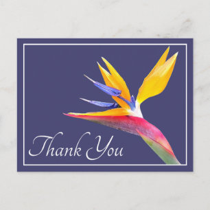 Paradiesvogel Navy Hintergrund Danke Postkarte