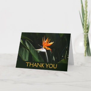 Paradiesvogel Orange Tropische Blume Dankeskarte
