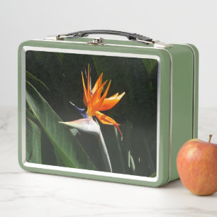 Paradiesvogel Orange Tropische Blume Metall Brotdose