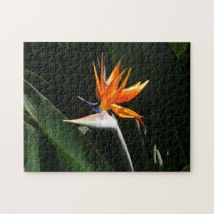 Paradiesvogel Orange Tropische Blume Puzzle