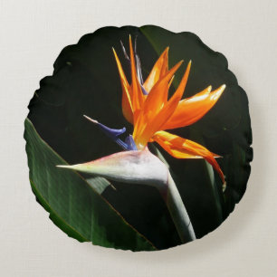 Paradiesvogel Orange Tropische Blume Rundes Kissen