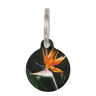 Paradiesvogel Orangefarbene Tropenblume Haustiermarke
