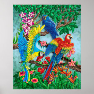 Paradiesvögel Plakat
