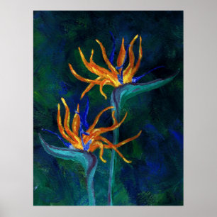 Paradiesvögel Poster