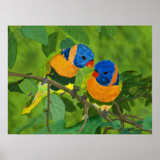 Paradiesvögel Poster