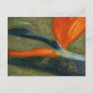 Paradiesvogel, Postkarte