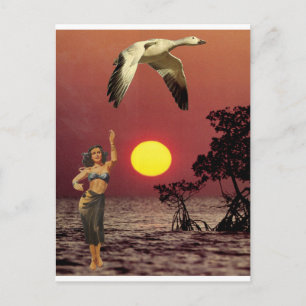 Paradiesvogel - postkarte