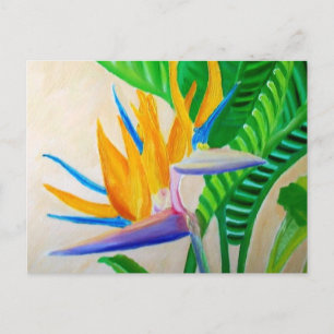 Paradiesvogel Postkarte