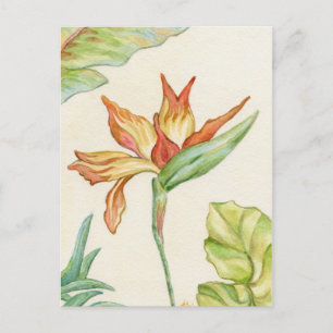 Paradiesvogel Postkarte