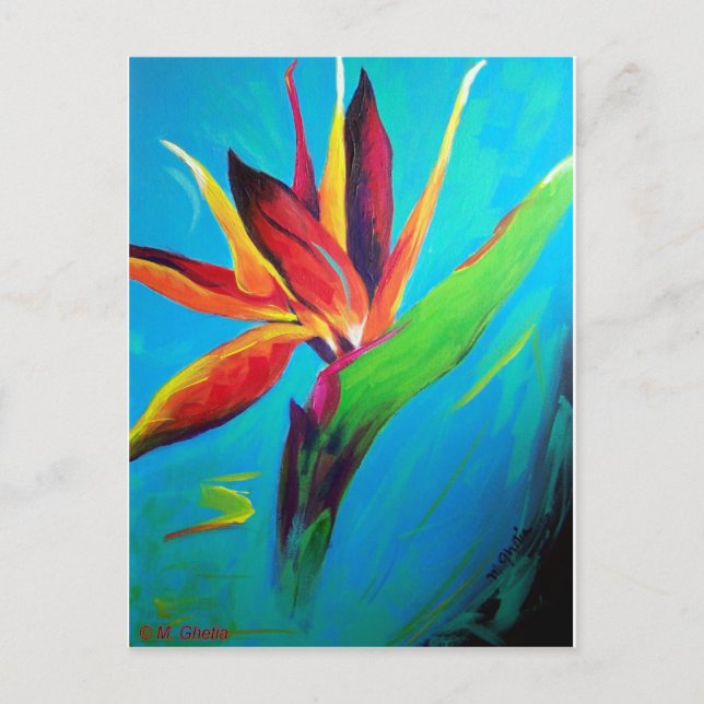 Paradiesvogel Postkarte (Vorderseite)