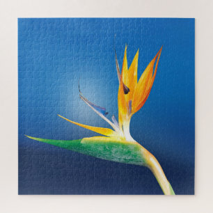 Paradiesvogel Puzzle