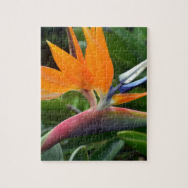 Paradiesvogel Puzzle